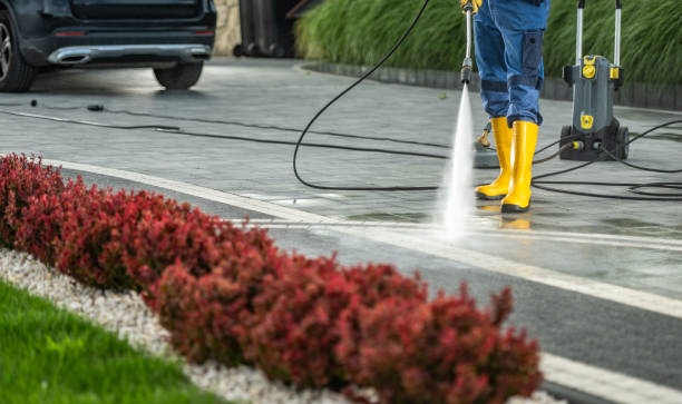 Best Roof Washing  in Tehachapi, CA